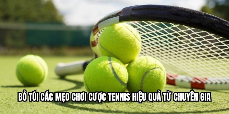 Bỏ túi các mẹo chơi cược tennis hiệu quả từ chuyên gia